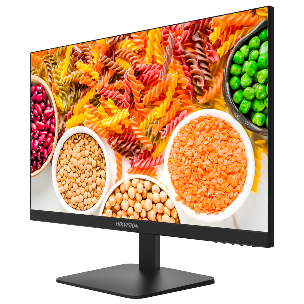 DS-D5024F2-1V2S